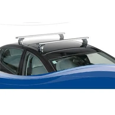 גגון לגג הרכב AUTO MAXI SILVERLINE פיקס פויינט