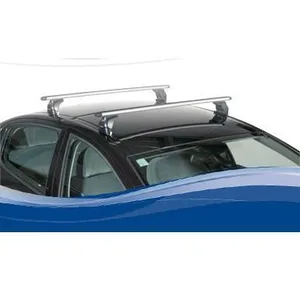 גגון לגג הרכב AUTO MAXI SILVERLINE פיקס פויינט