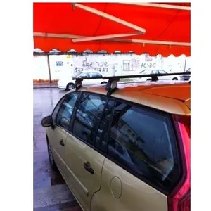 גגון לסיטרואן C4 פיקאסו פלדה